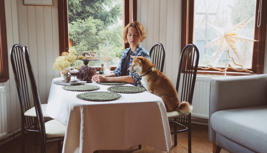 Can High-End Pet Food Strengthen the Bond Between You and Your Pet?