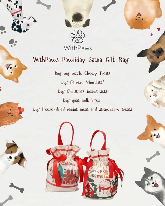 WithPaws Pawliday Santa Gift Bag