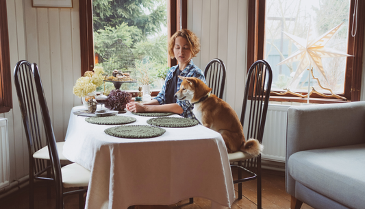 Can High-End Pet Food Strengthen the Bond Between You and Your Pet?